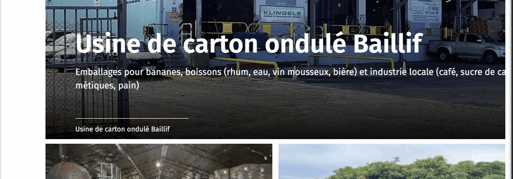 usine de cartons_échanges avec des professionnels