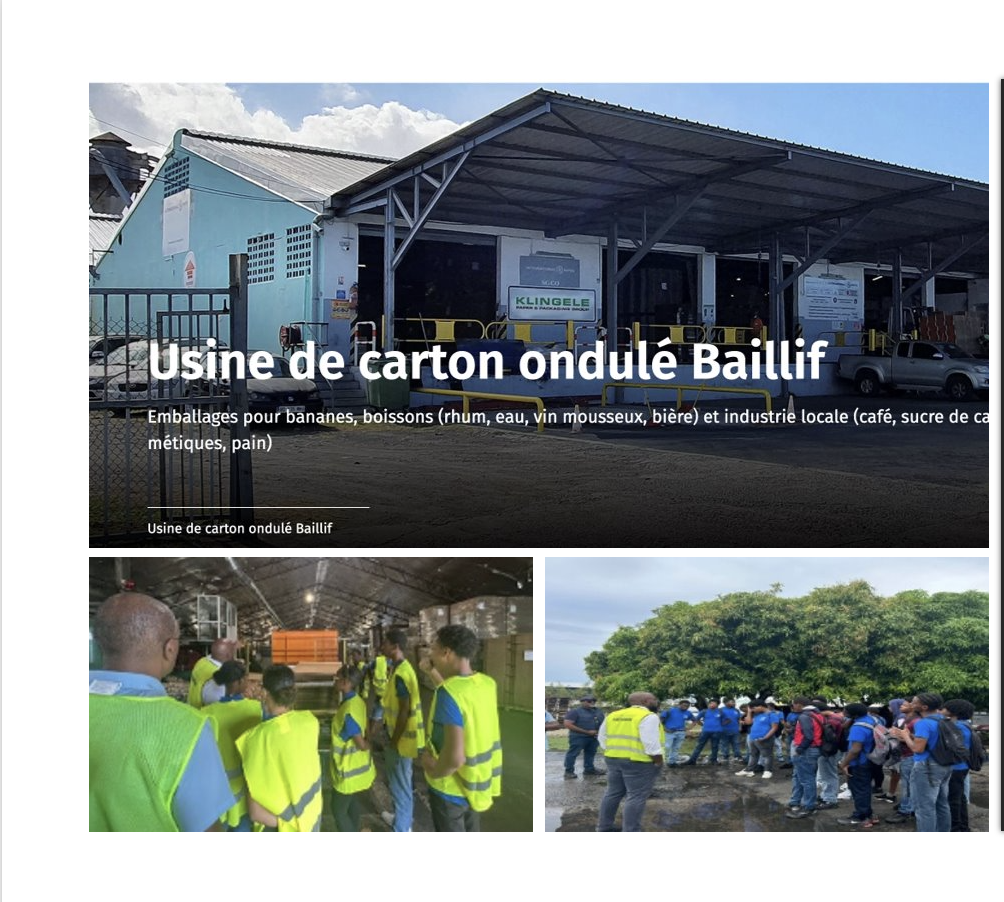 usine de cartons_échanges avec des professionnels